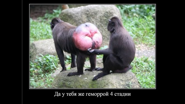 Я тебя щас закопаю
