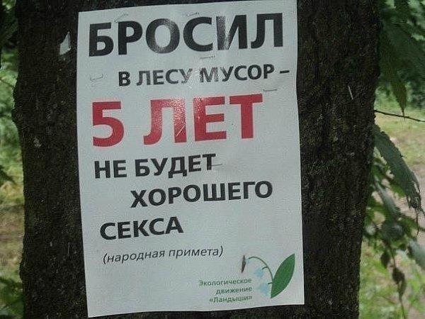 Я на месте картинки прикольные