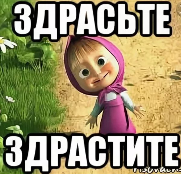 Гнездо голубя Мем