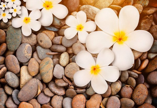 Фотообои черные камни