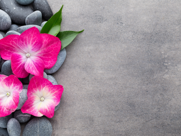 Камни Лотос Лотос