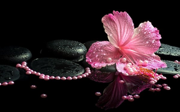 Цветы камни