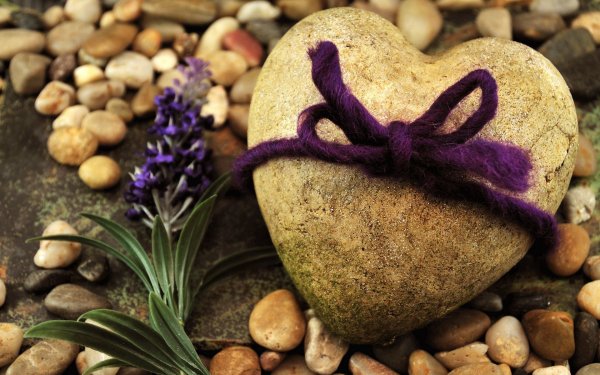 Орхидея Вайт Сван