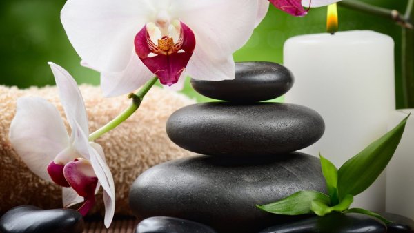 Цветы на фоне воды