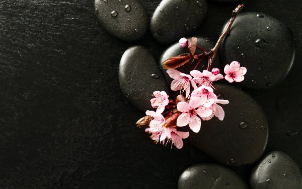 Орхидеи и бамбук