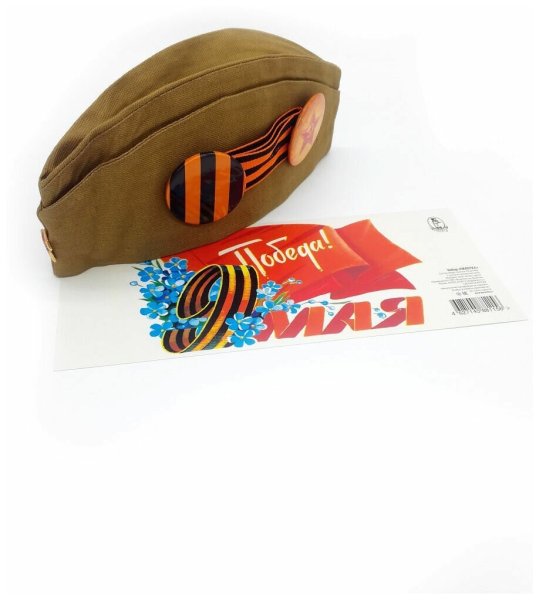 Пилотка Победы