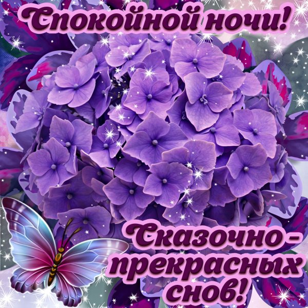 Цветы с пожеланием спокойной ночи