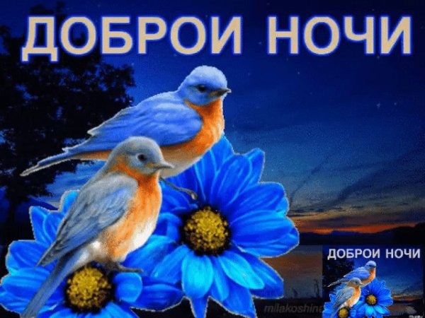 Спокойной ночи с весенними цветами