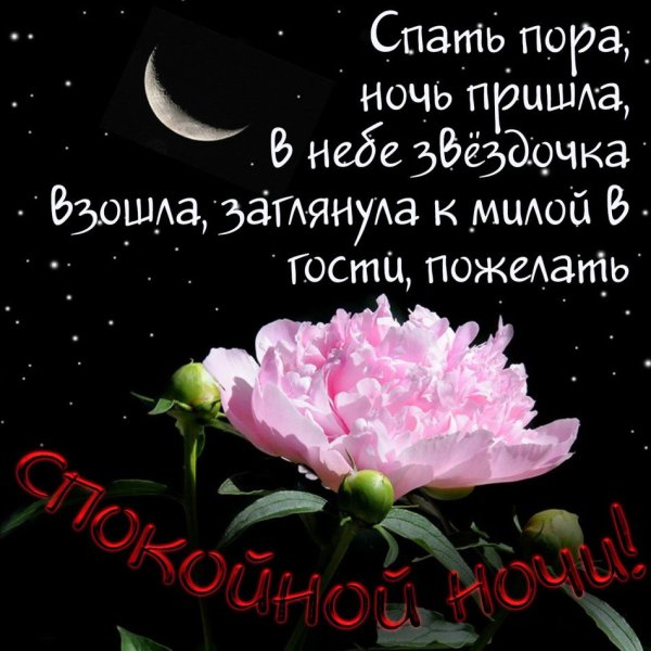 Доброй ночи природа с пожеланиями