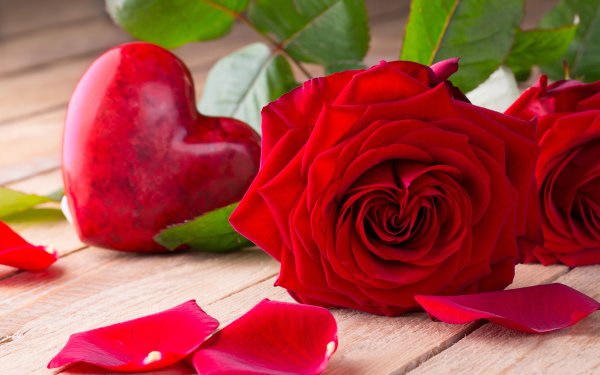 Роза Валентайн Харт