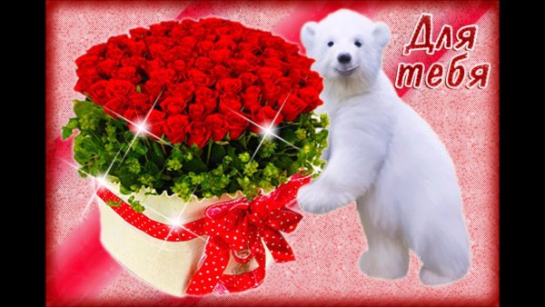 Открытки цветы красивые букеты