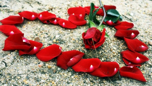 С днем влюбленных