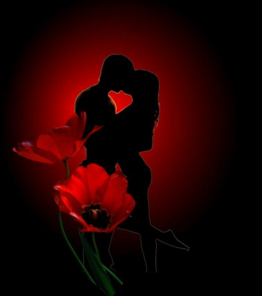 Красивые ромашки для любимой