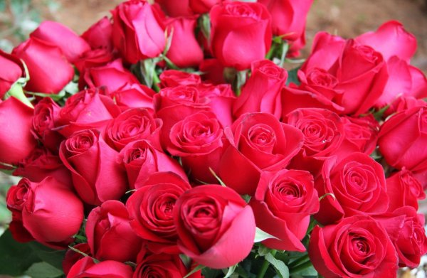 С днем рождения цветы