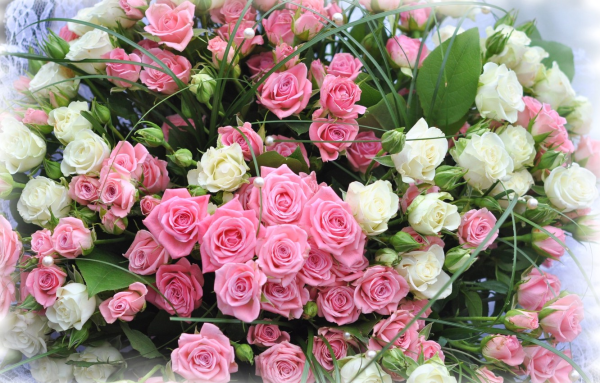 Лола гулдасталар