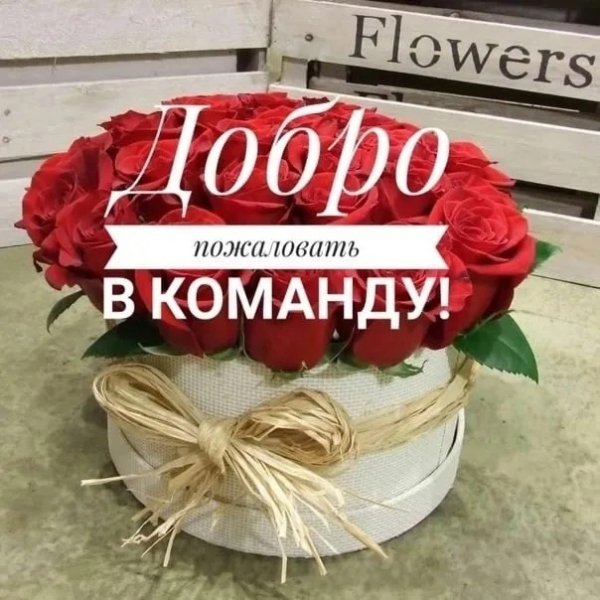 Добро пожаловать в команду