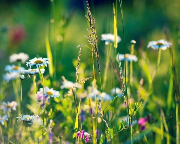 Ура лето картинки