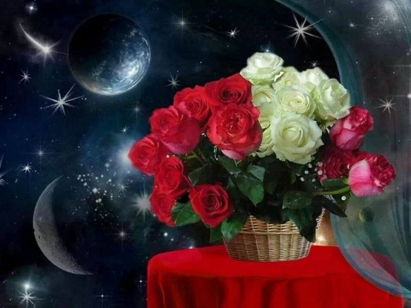 Спокойной ночи с цветами