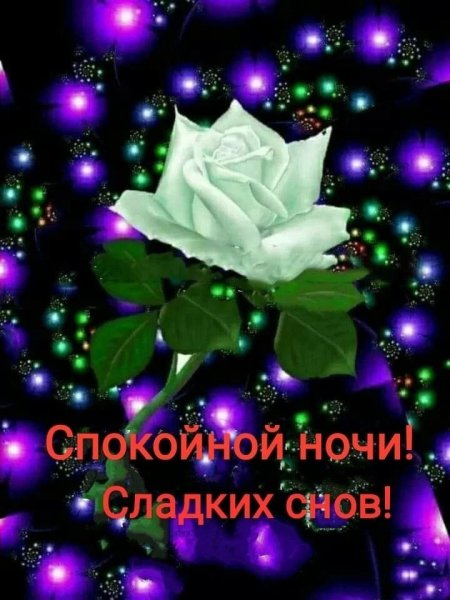 Цветы с пожеланием спокойной ночи