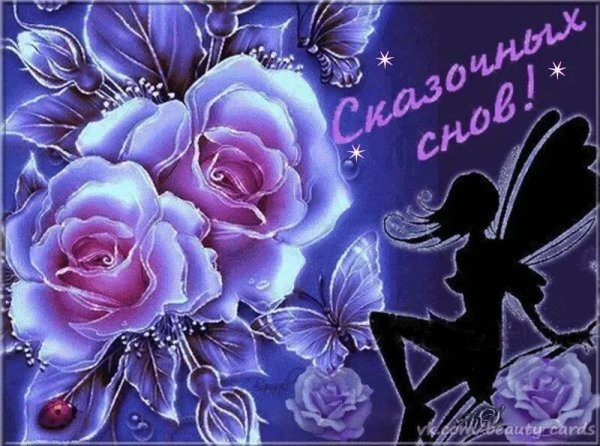 Спокойной ночи женщине цветы