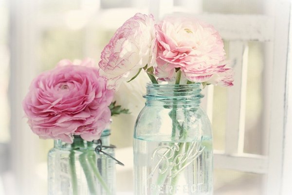 Пастельный Ганс пион