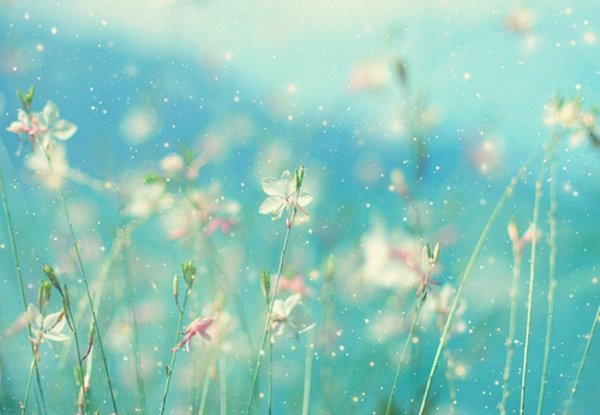 Фон цветы нежные