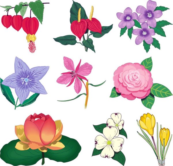 Цветы Рисованные детские