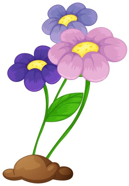 Разноцветные цветы на полянке