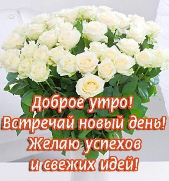 Доброе утро с цветами и пожеланиями