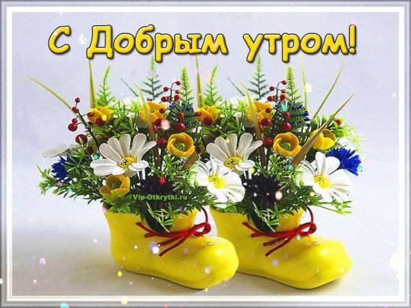 Доброе утро цветы