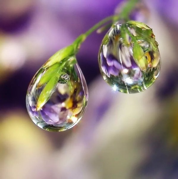 Отражение в капле воды