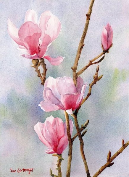 Художник Joe Cartwright
