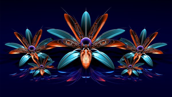 Цветы абстракция