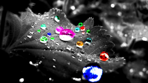 Разноцветный взрыв