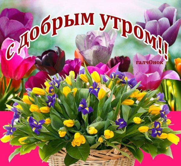 Доброе утро с цветами и пожеланиями