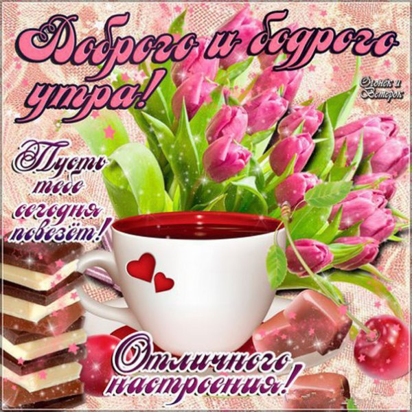 Цветы поздравления с добрым утром
