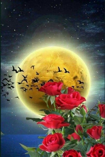 Спокойной ночи цветы