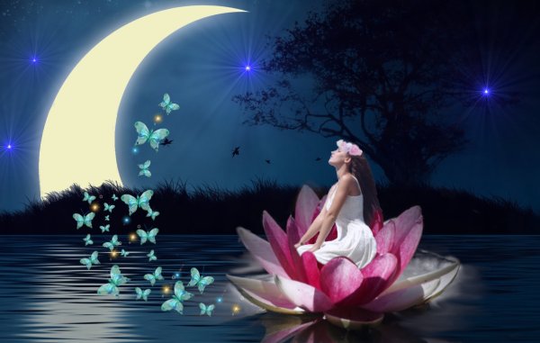 Спокойной ночи цветы