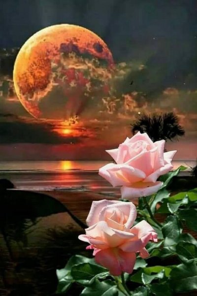 Японский художник Yutaka Kagaya