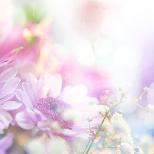 Нежный фон для открытки