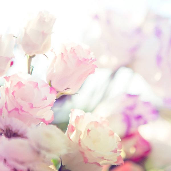 Сания открытки