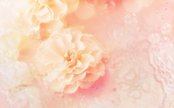 Нежные цвета