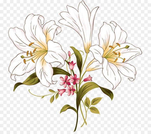 Нарисовать цветы