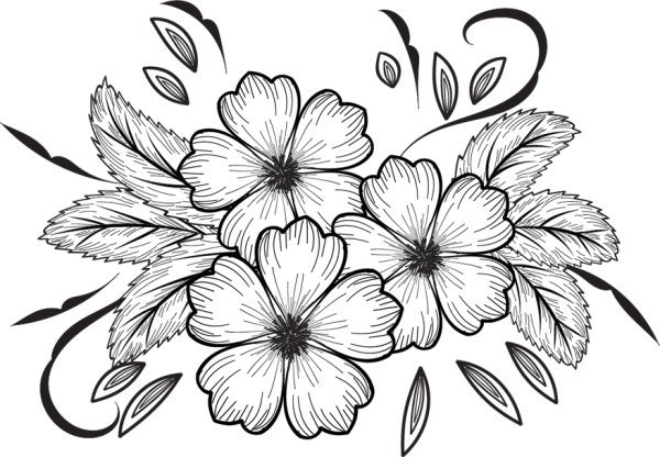 Цветы рисунок карандашом