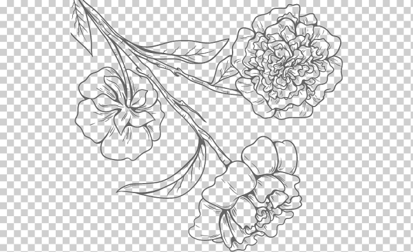 Линейные цветы