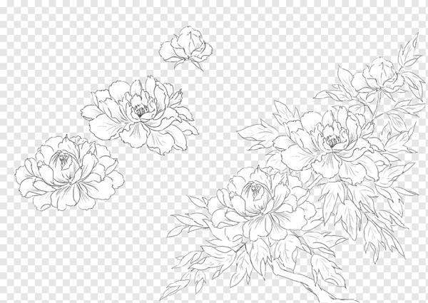 Черный контур цветов