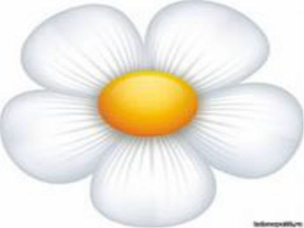Ромашка мультяшная