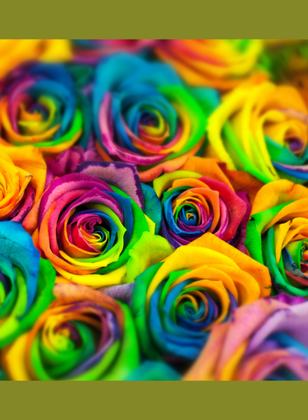 Разноцветные цветы