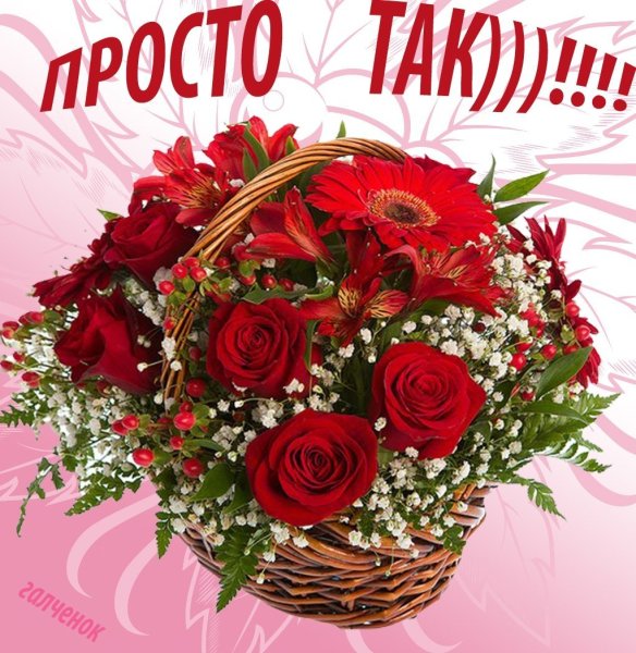 Красивые цветы для Тани