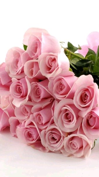 Открытка ты лучшая